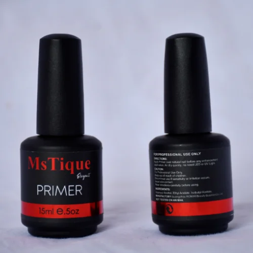 MsTique Primer - Image 2